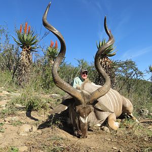 Hunt Kudu in South Africa