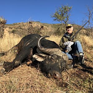 Hunt Cape Buffalo in South Africa