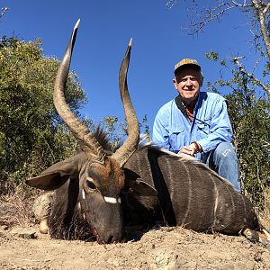 Nyala Hunting South Africa