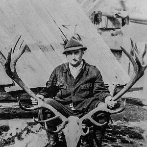 Carpathian Red Stag Hunt Romania