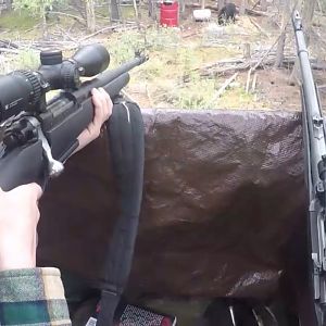 Hunting Bear in Alaska USA