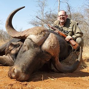 South Africa Hunt Cape Buffalo