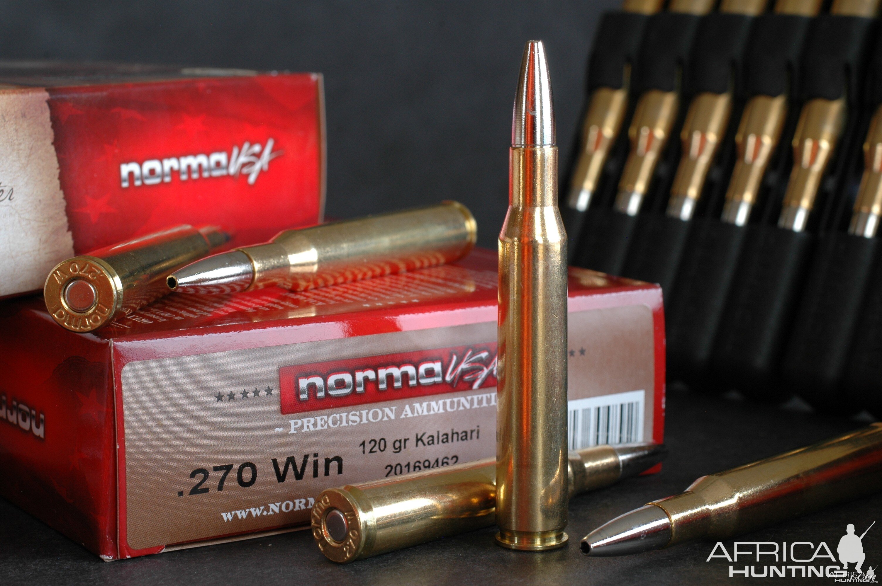 . 270 Winchester