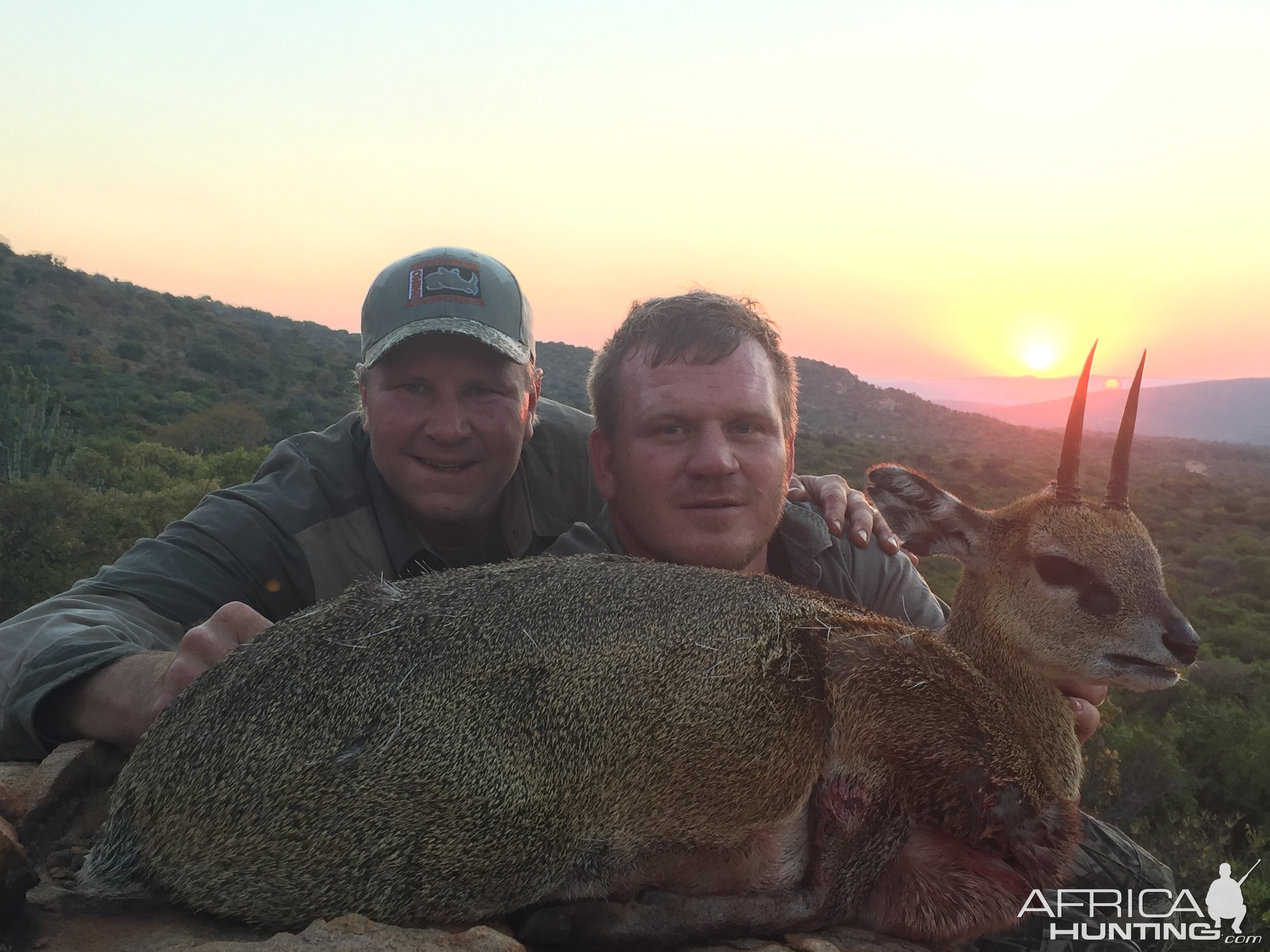 5" klipspringer