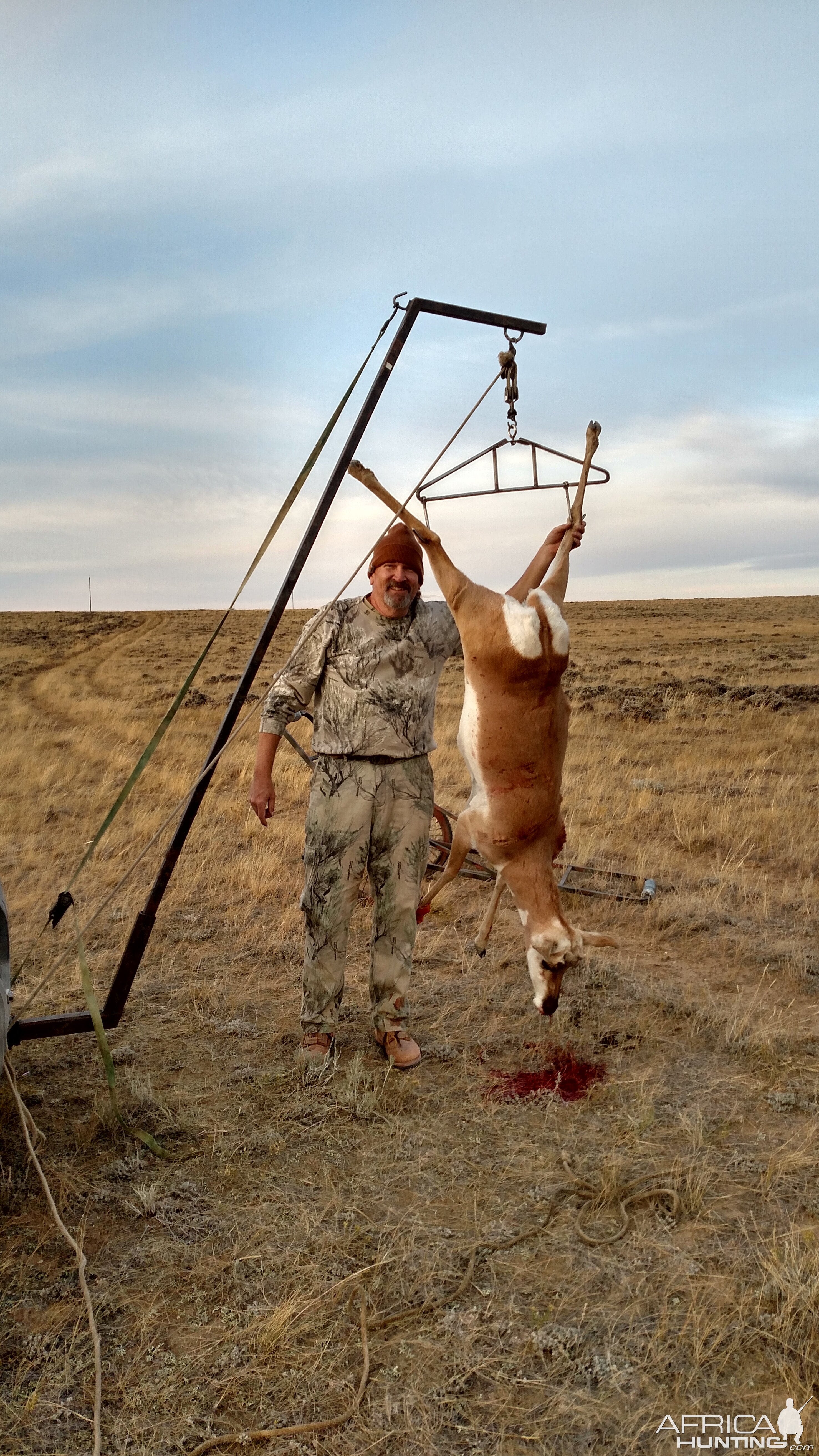 Antilope Hunting