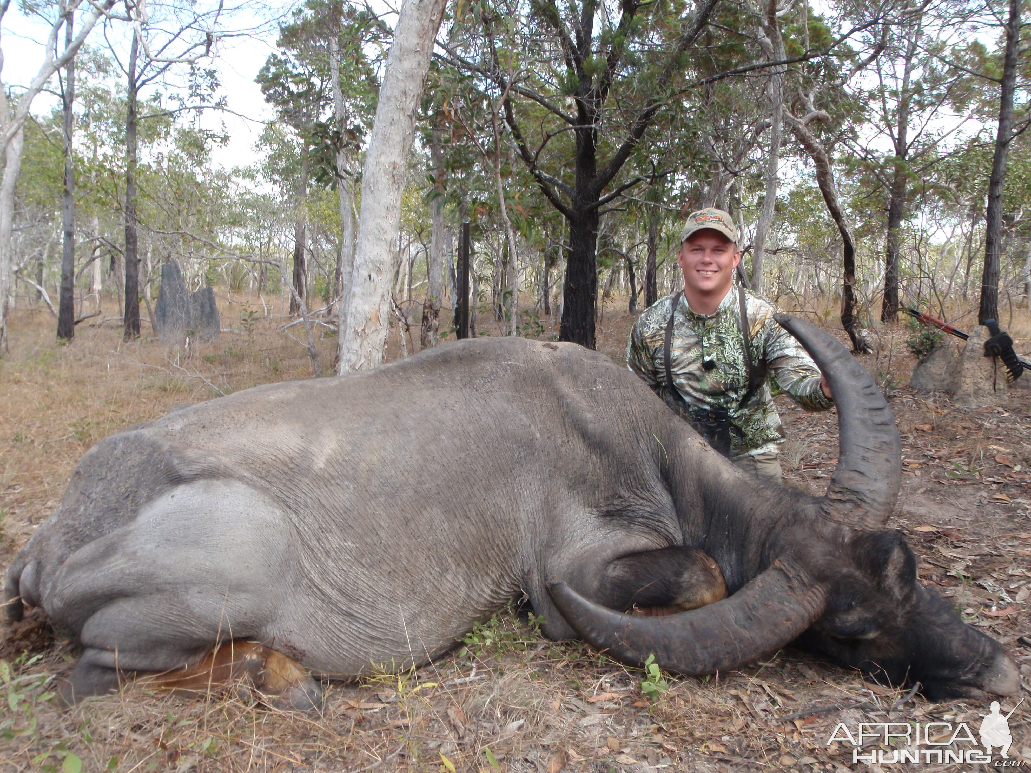 Australia Hunt Asiatic Water Buffalo