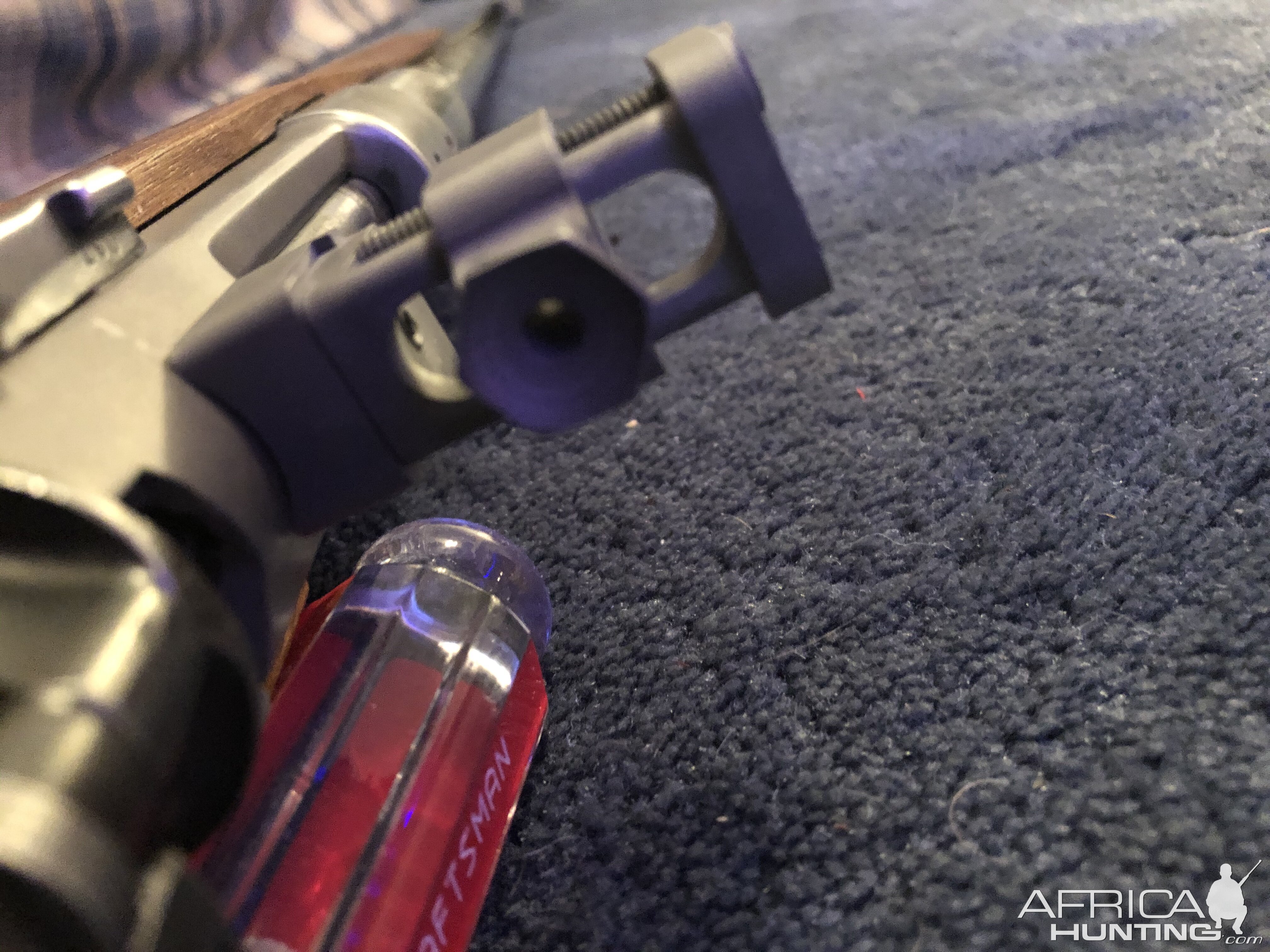 Back Sight Built