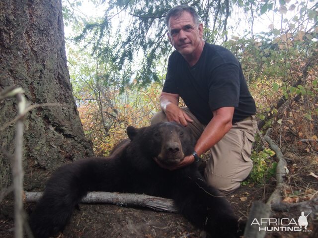 Bear Hunt