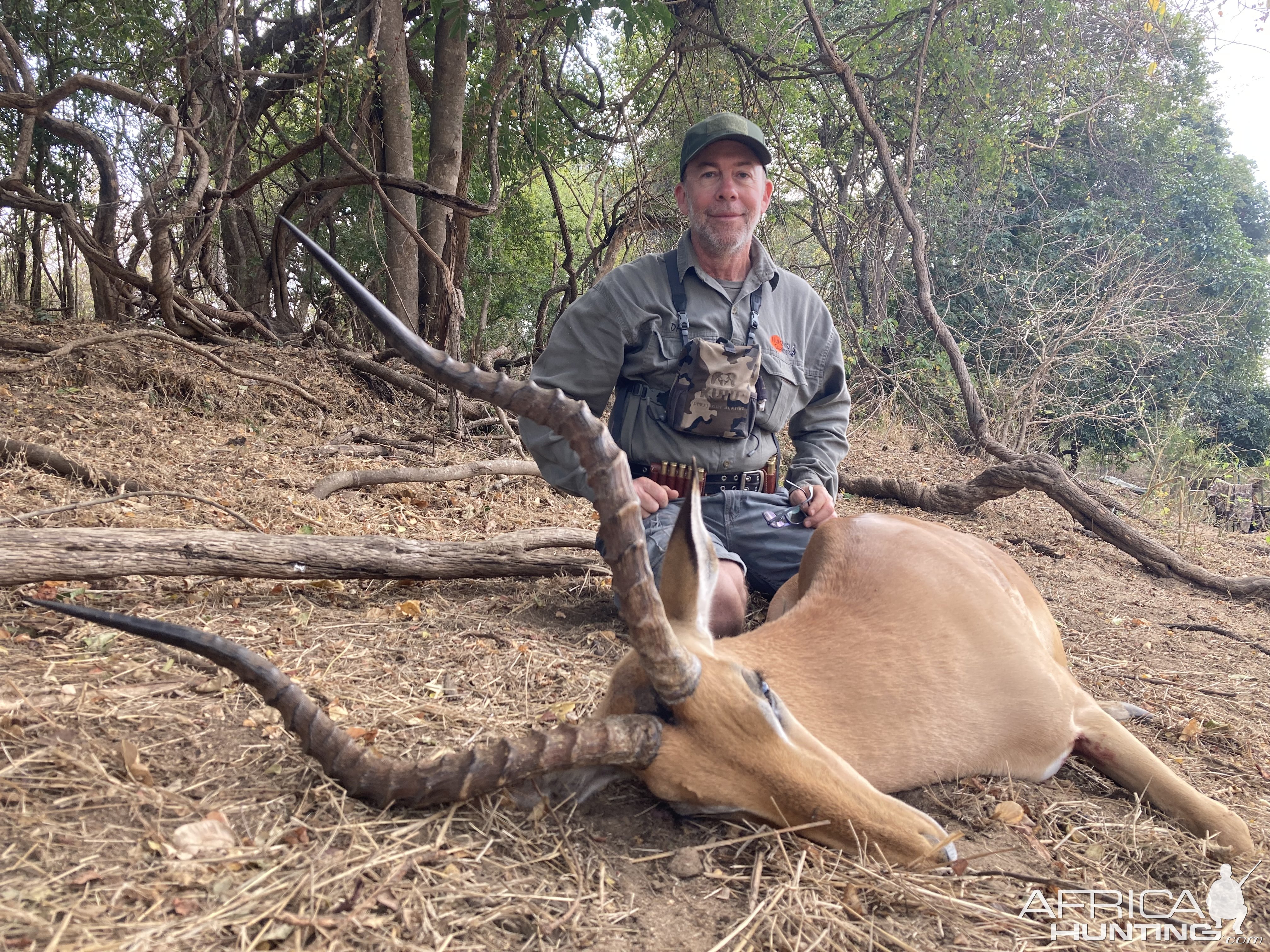 Beautiful Impala - 23”