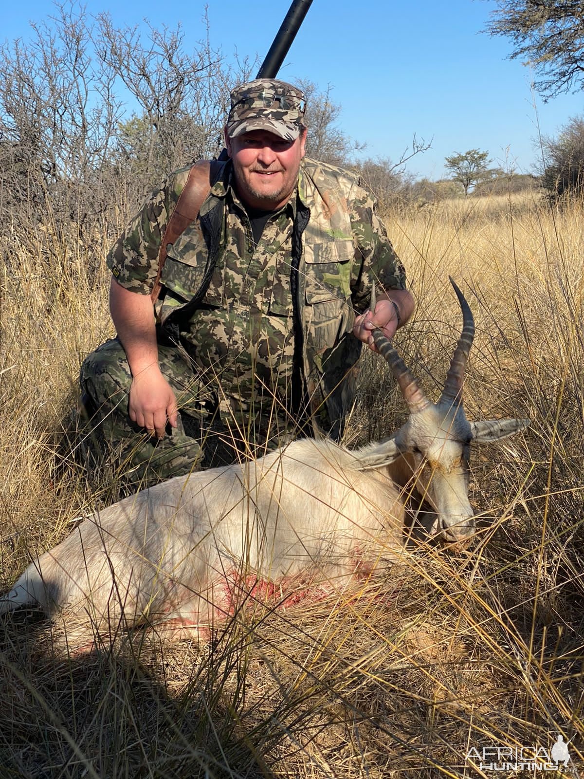 Blesbok Hunting