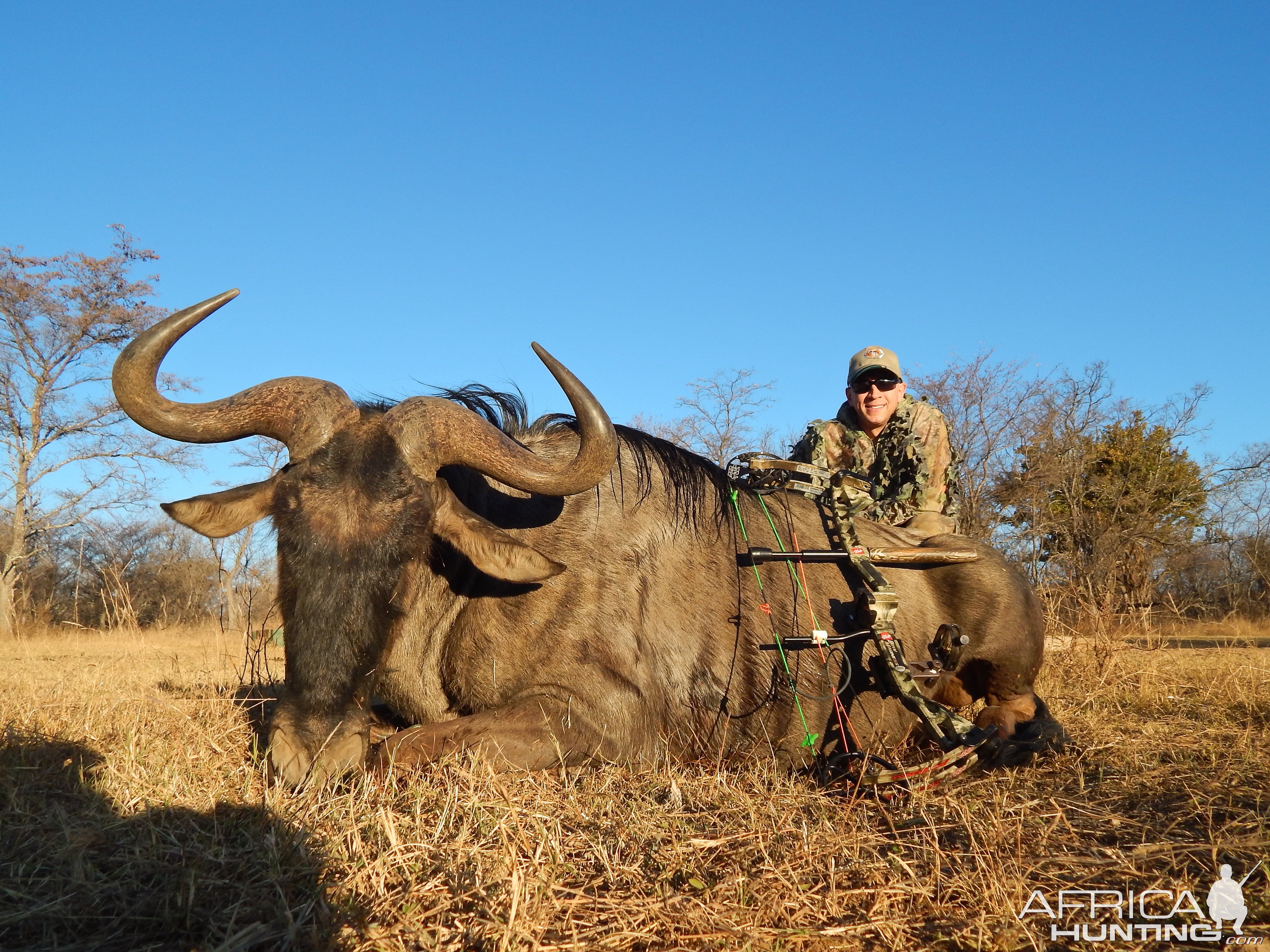 Blue Wildebeest Bow Hunting