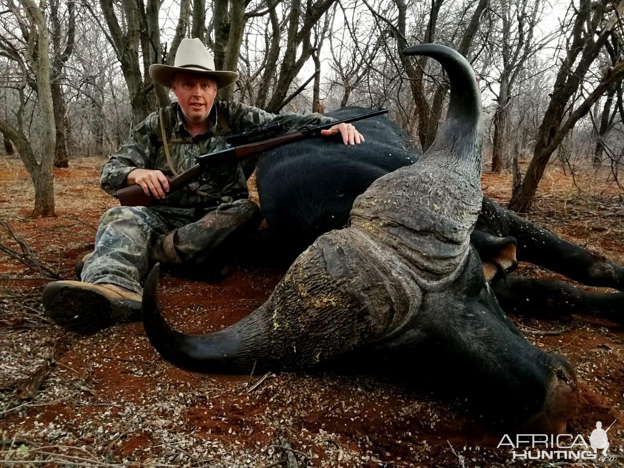 Buffalo bull with a muzzleloader