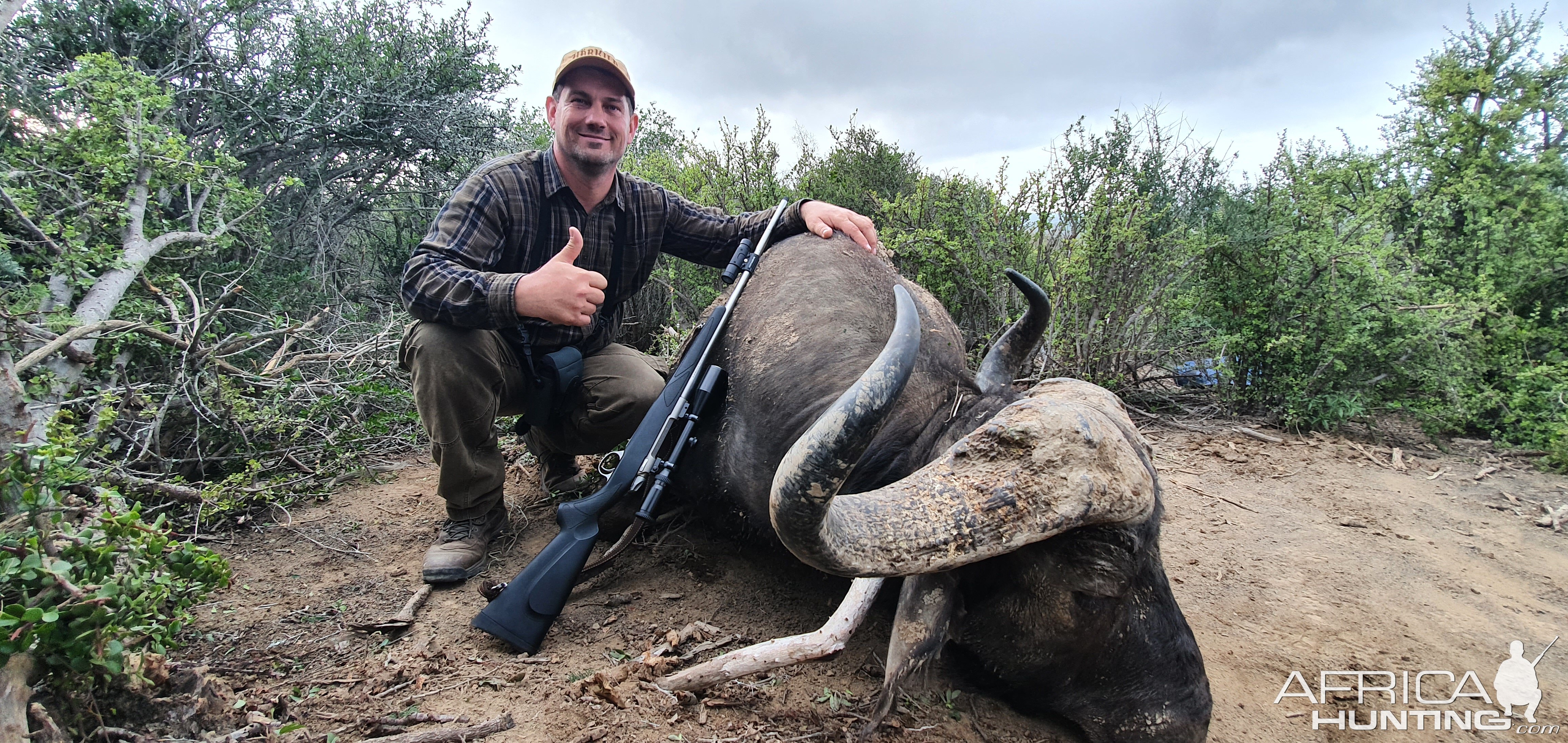 Buffalo Hunt South Africa