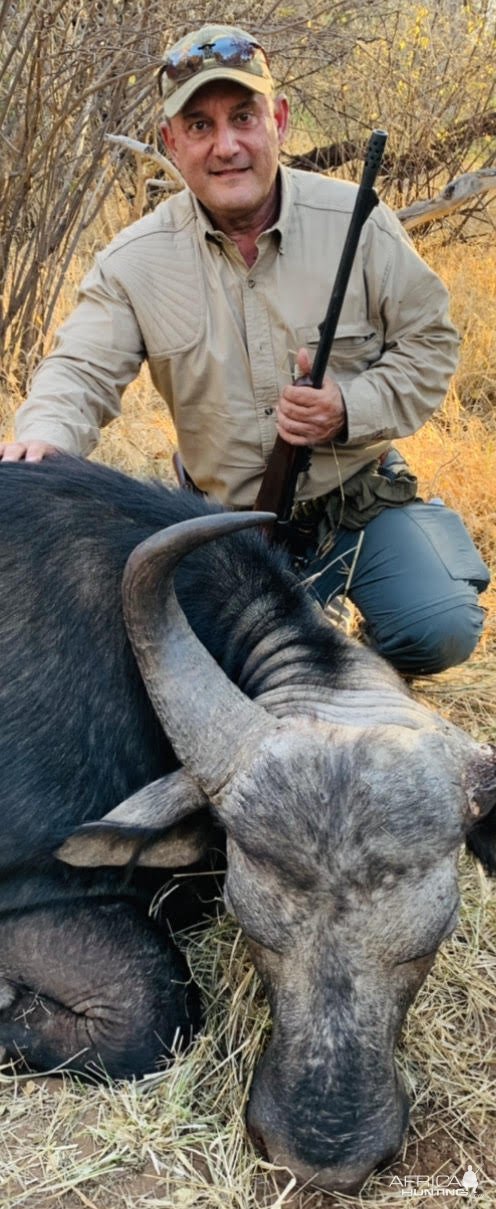Buffalo Hunting Limpopo South Africa