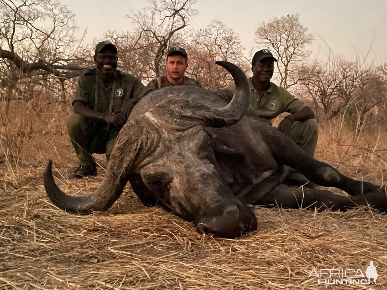 Buffalo Hunting