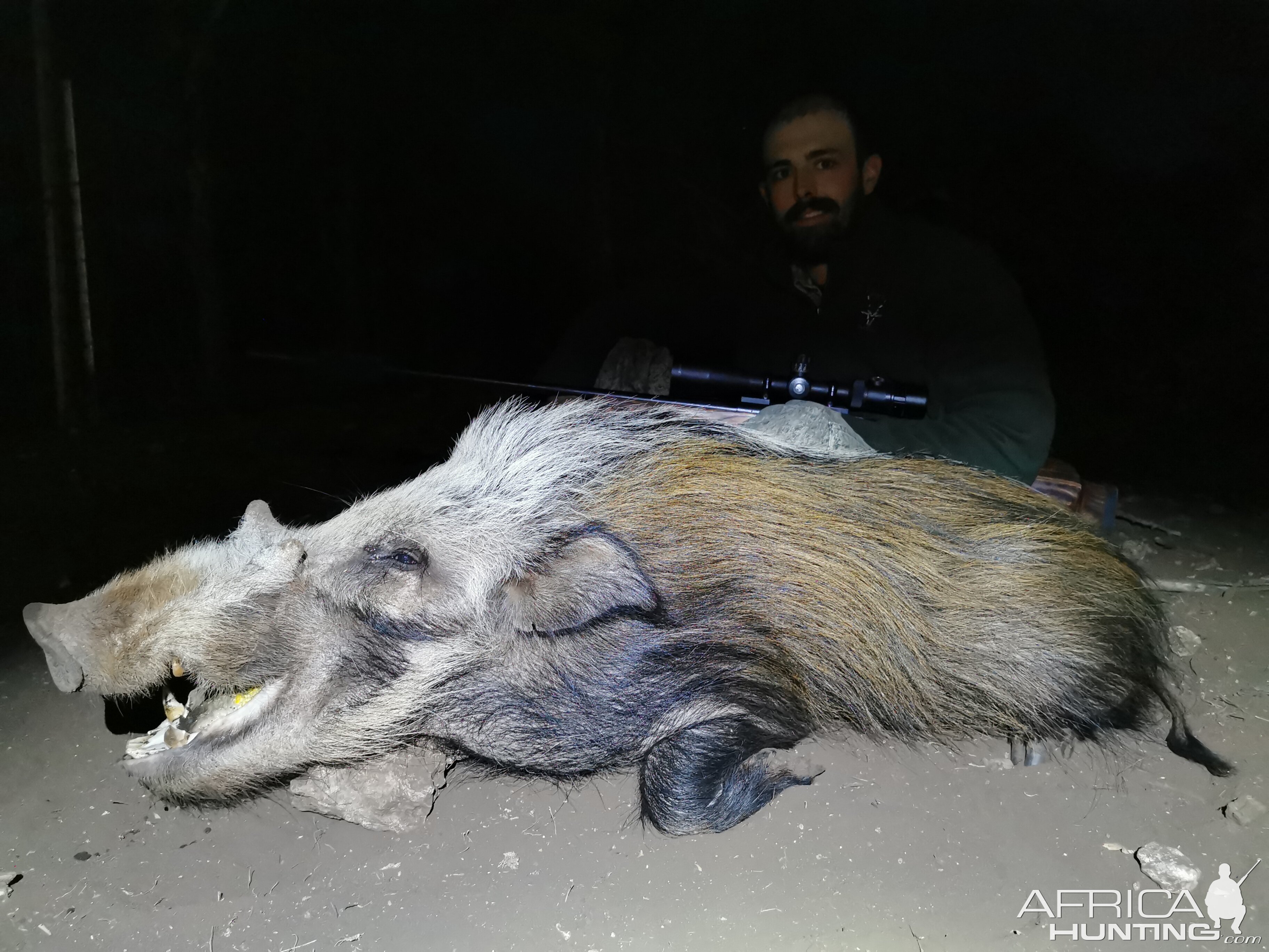Bush Pig Hunt South Africa