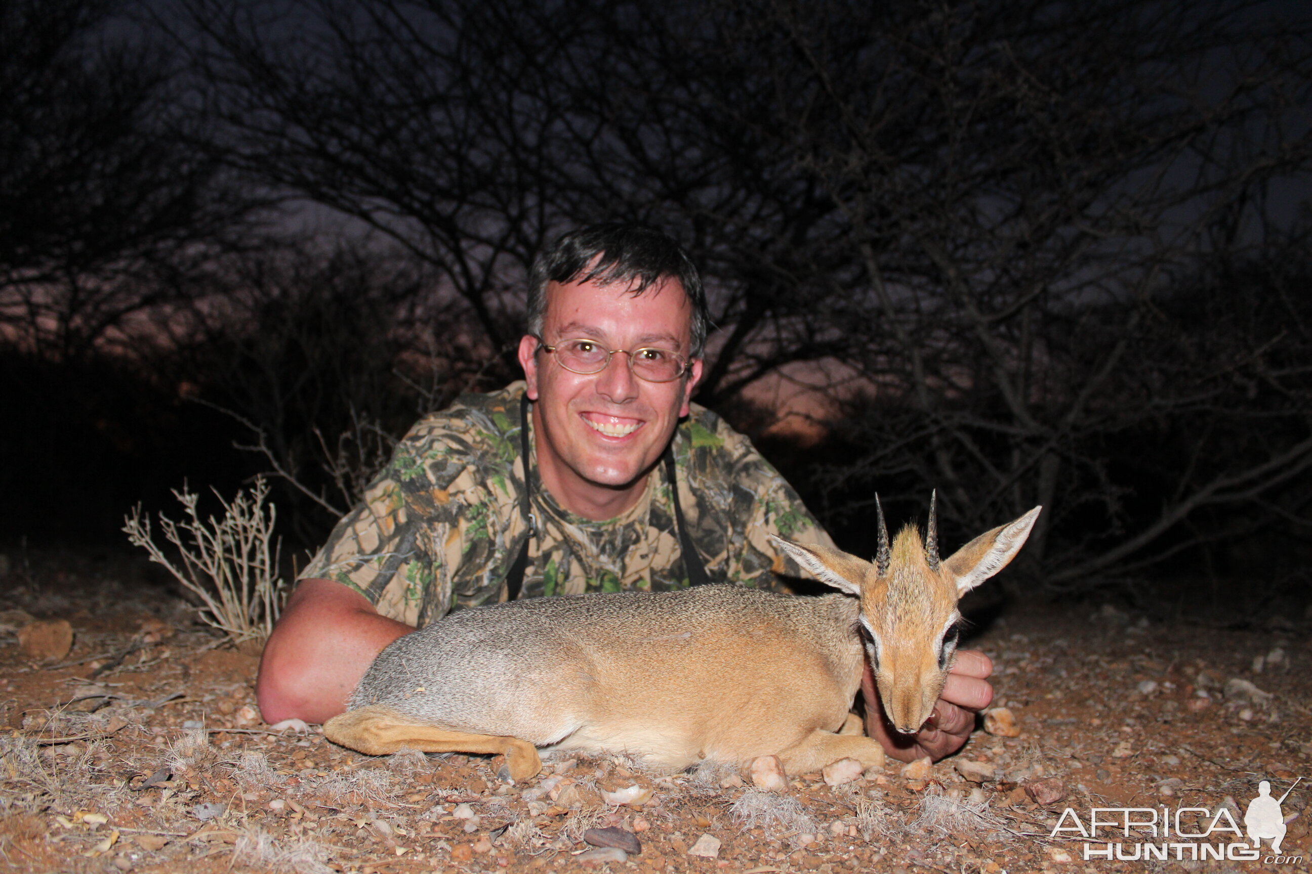 Damara Dik Dik Hunt