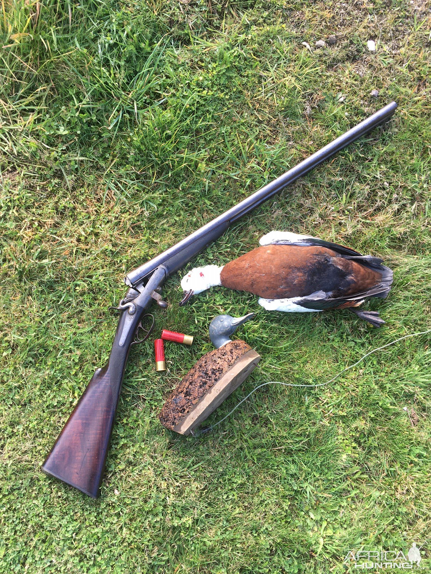 Duck Hunting