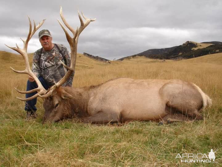 Elk Hunting
