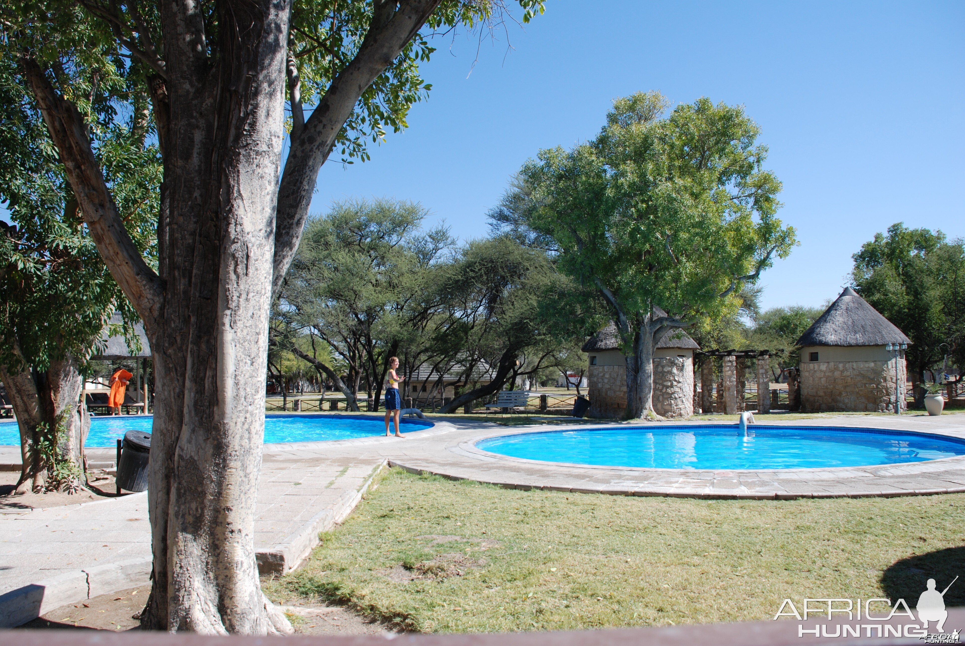 Etosha Namibia