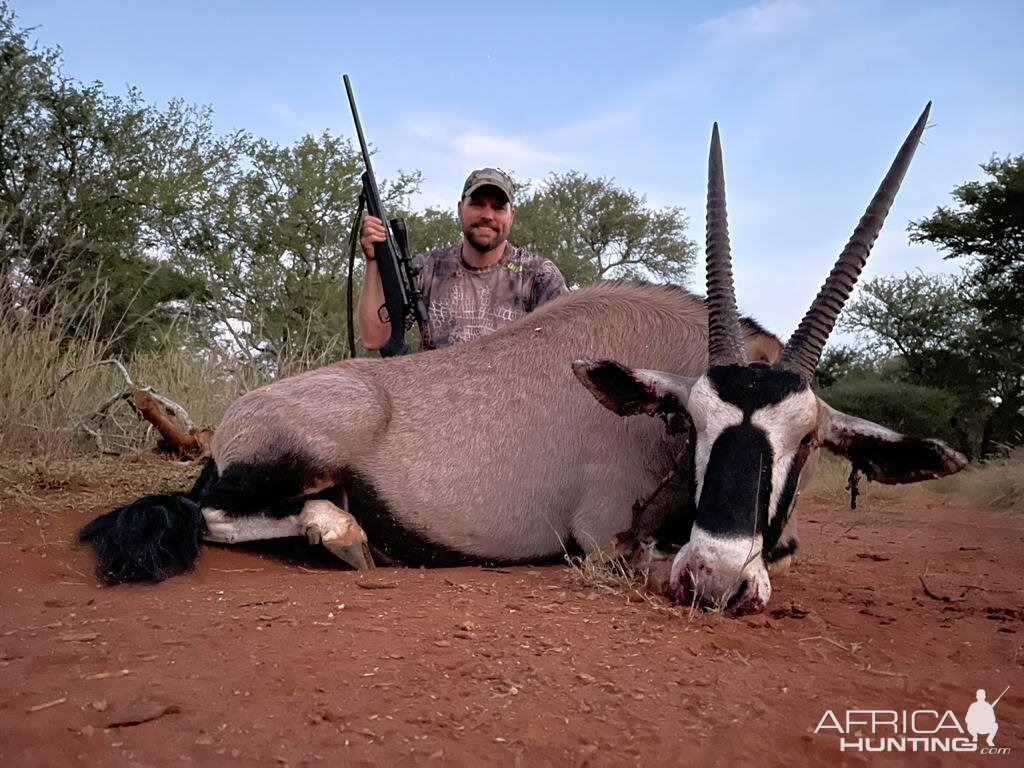 Gemsbok Hunt Limpopo South Africa