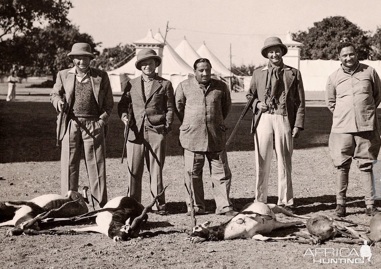 Hunt Blackbuck & Chinkara in India
