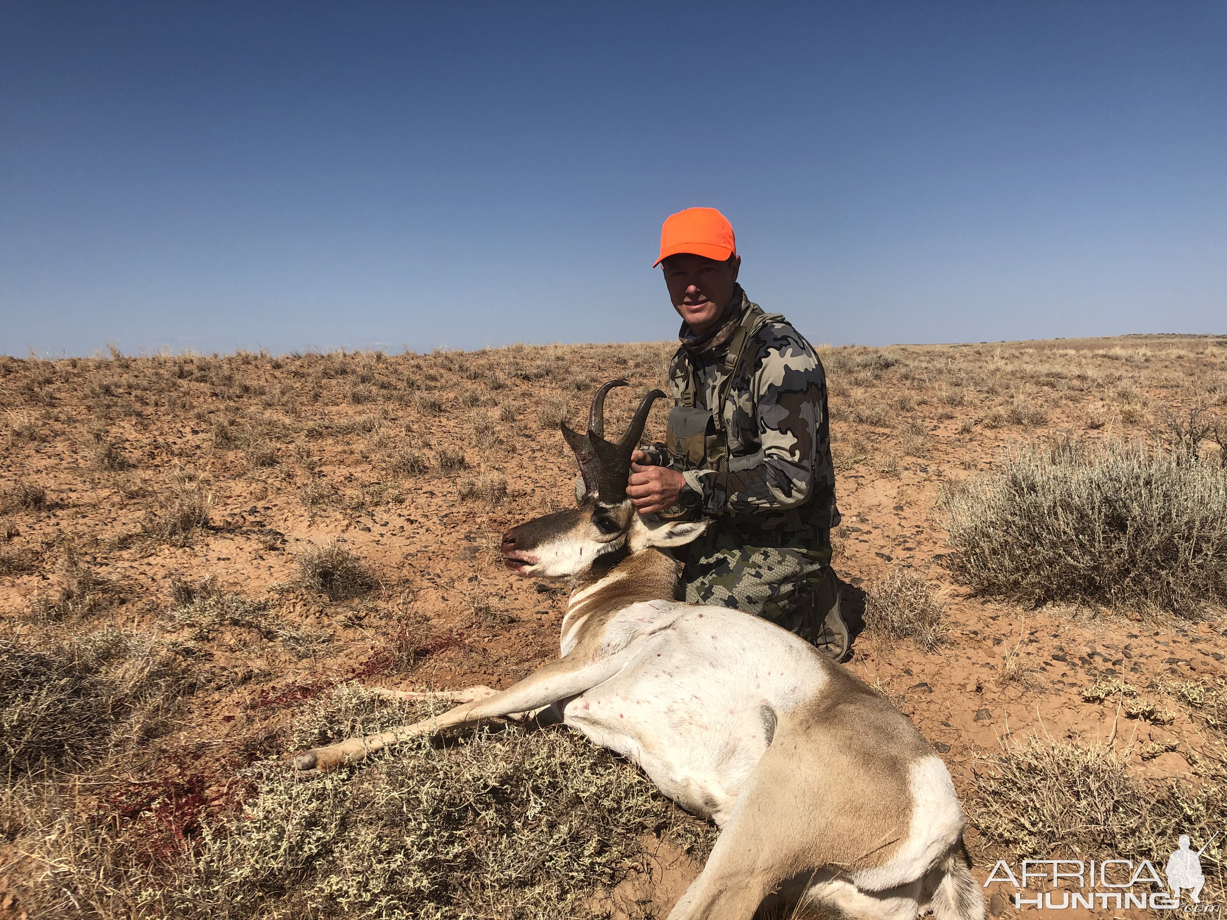 Hunt Pronghorn