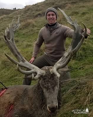 Hunt Red Stag in New Zealand