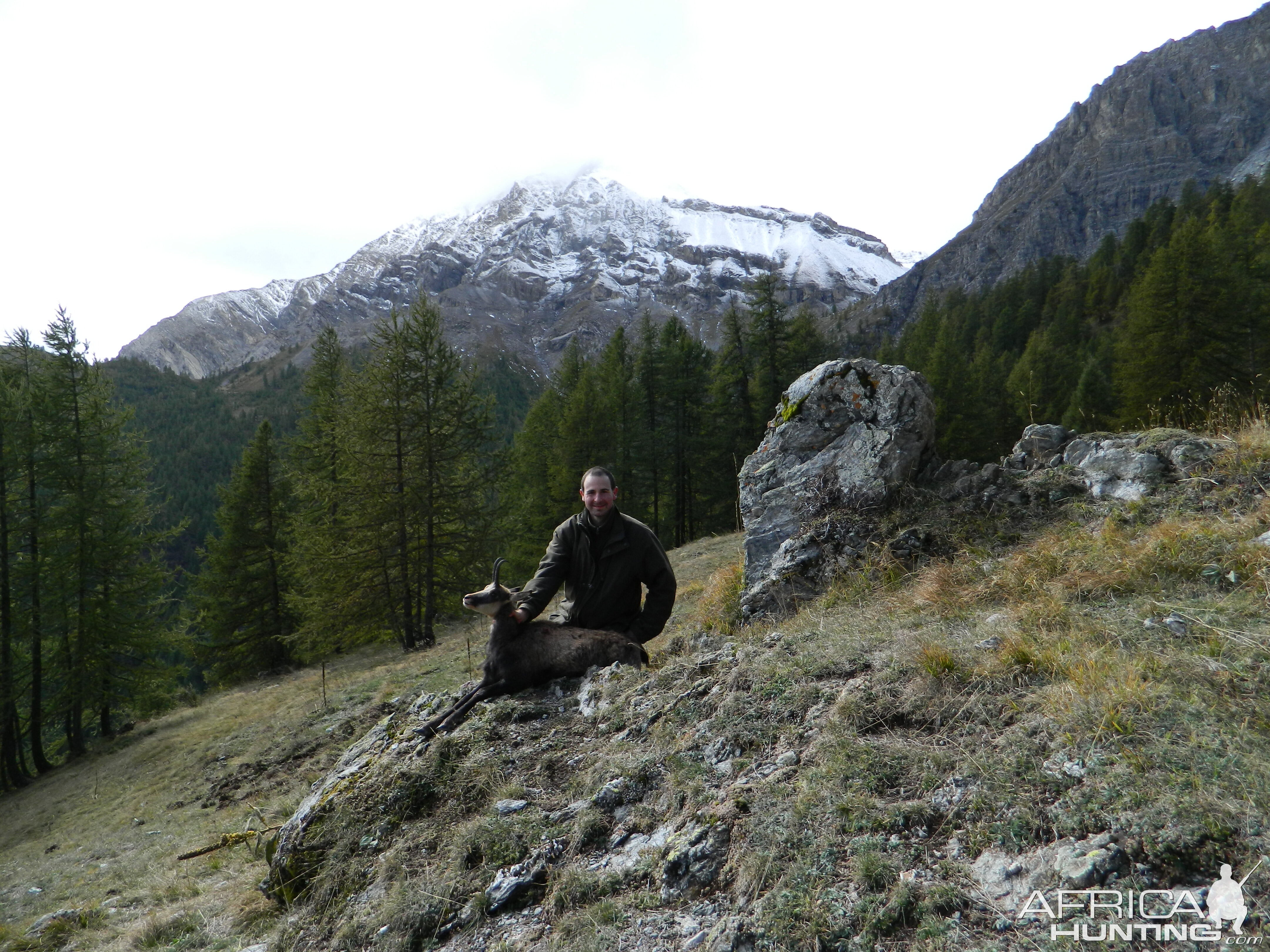 Hunting Chamois Italy