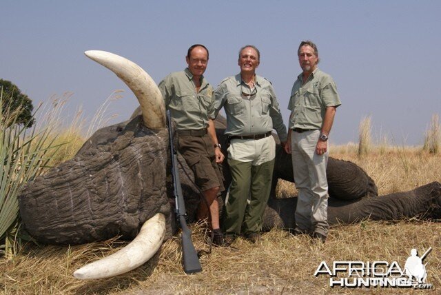 Hunting Elephant in Botswana