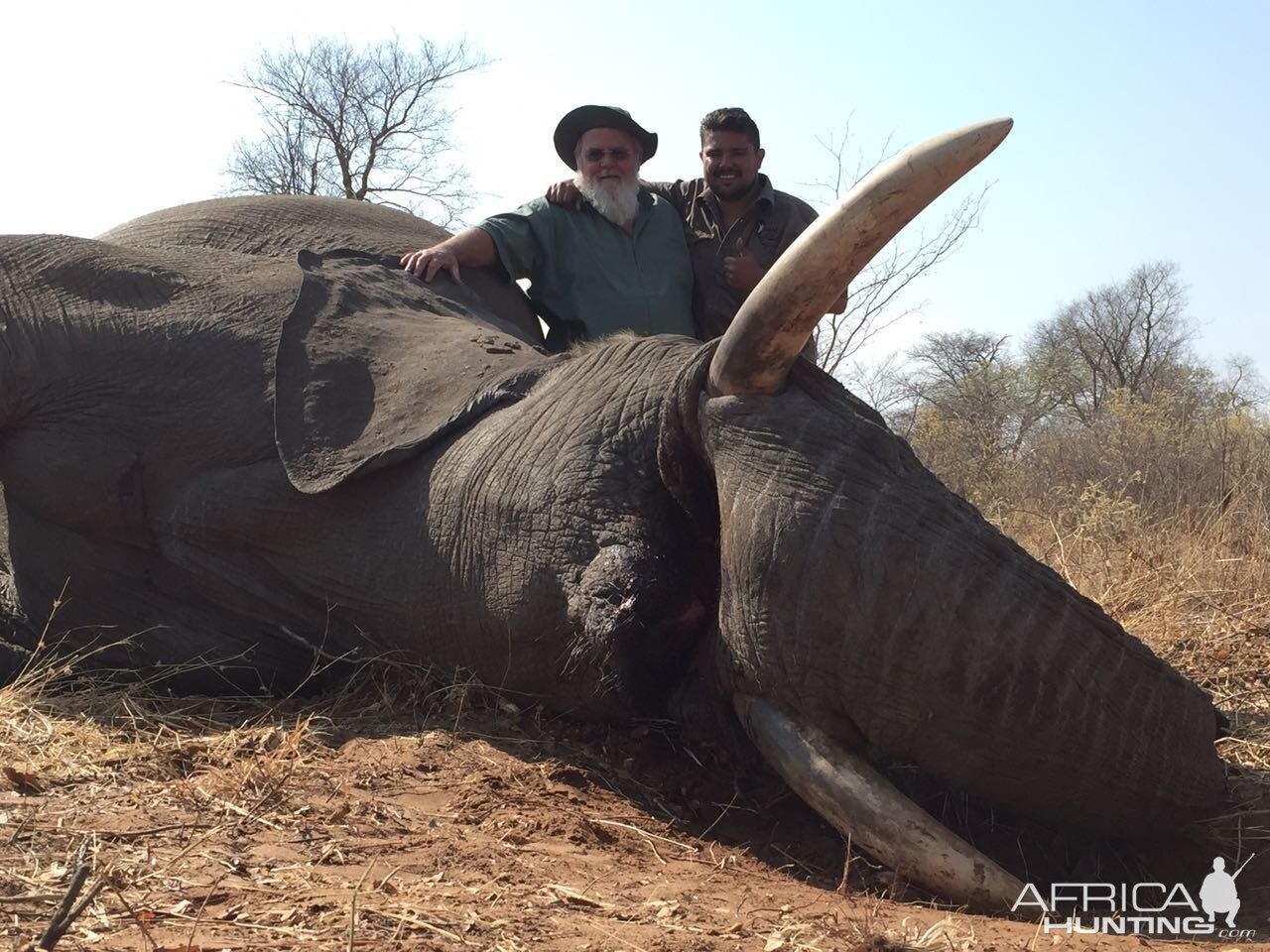 Hunting Elephant in Zimbabwe