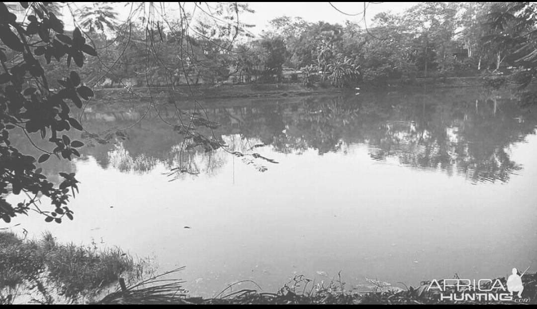 Hunting in India