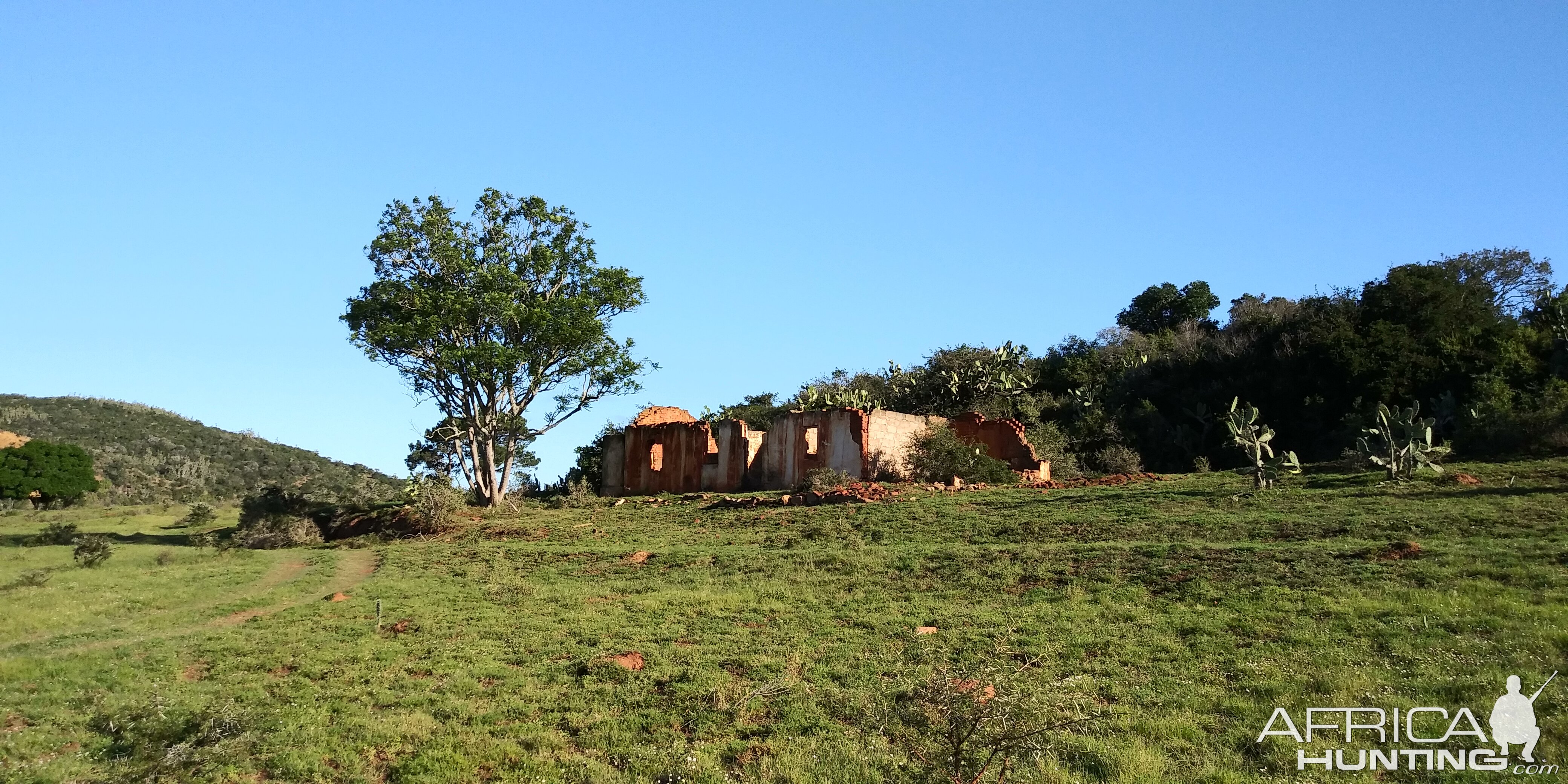 Hunting in South Africa