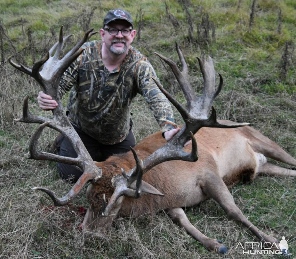 Hunting Red Stag in New Zealand