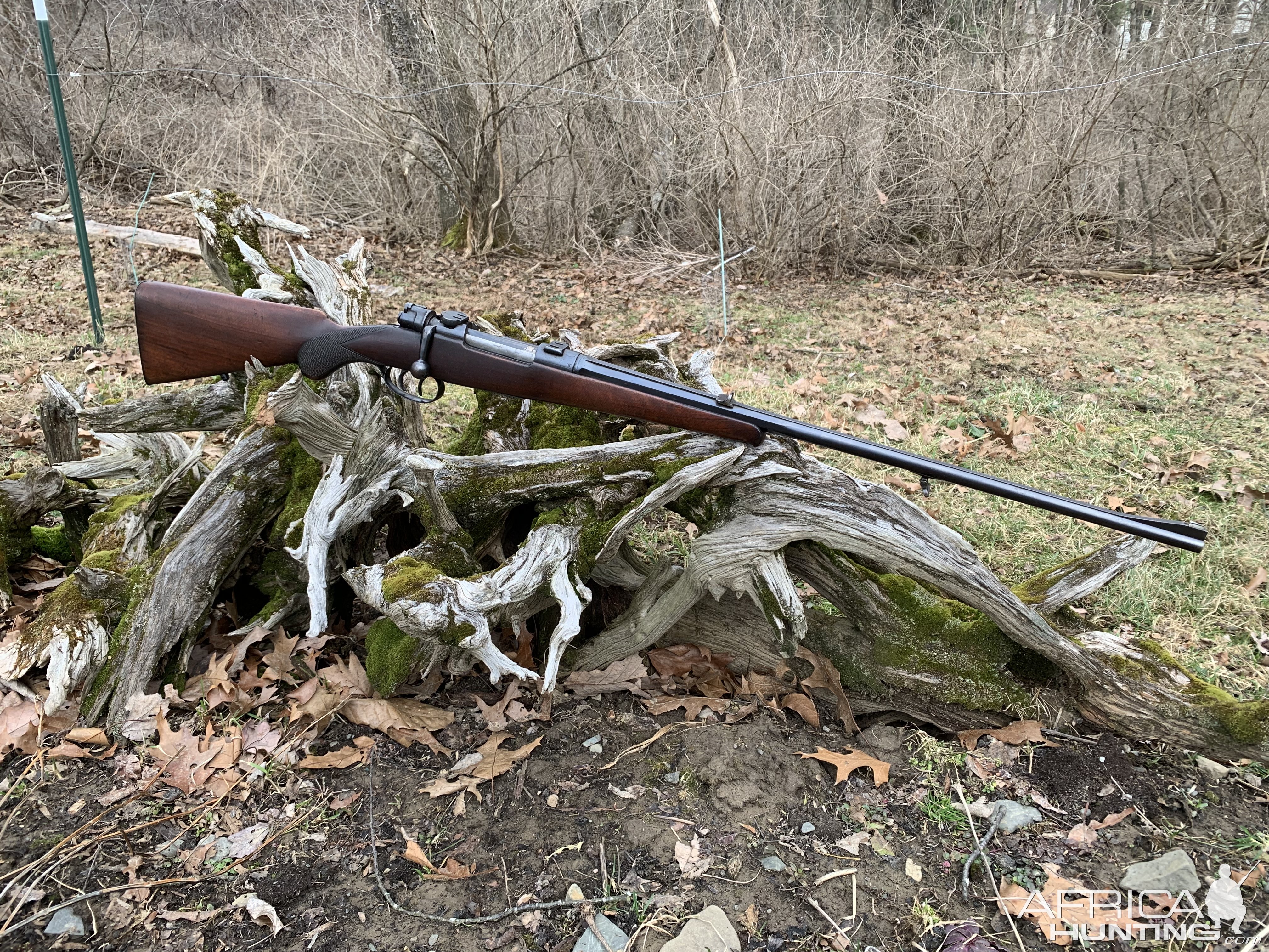 Hunting Rifle