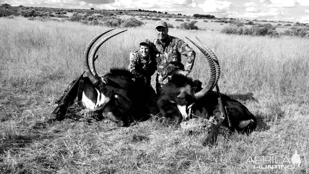 Hunting Sable South Africa