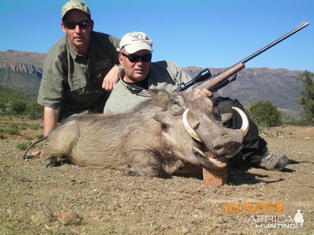 Hunting Warthog