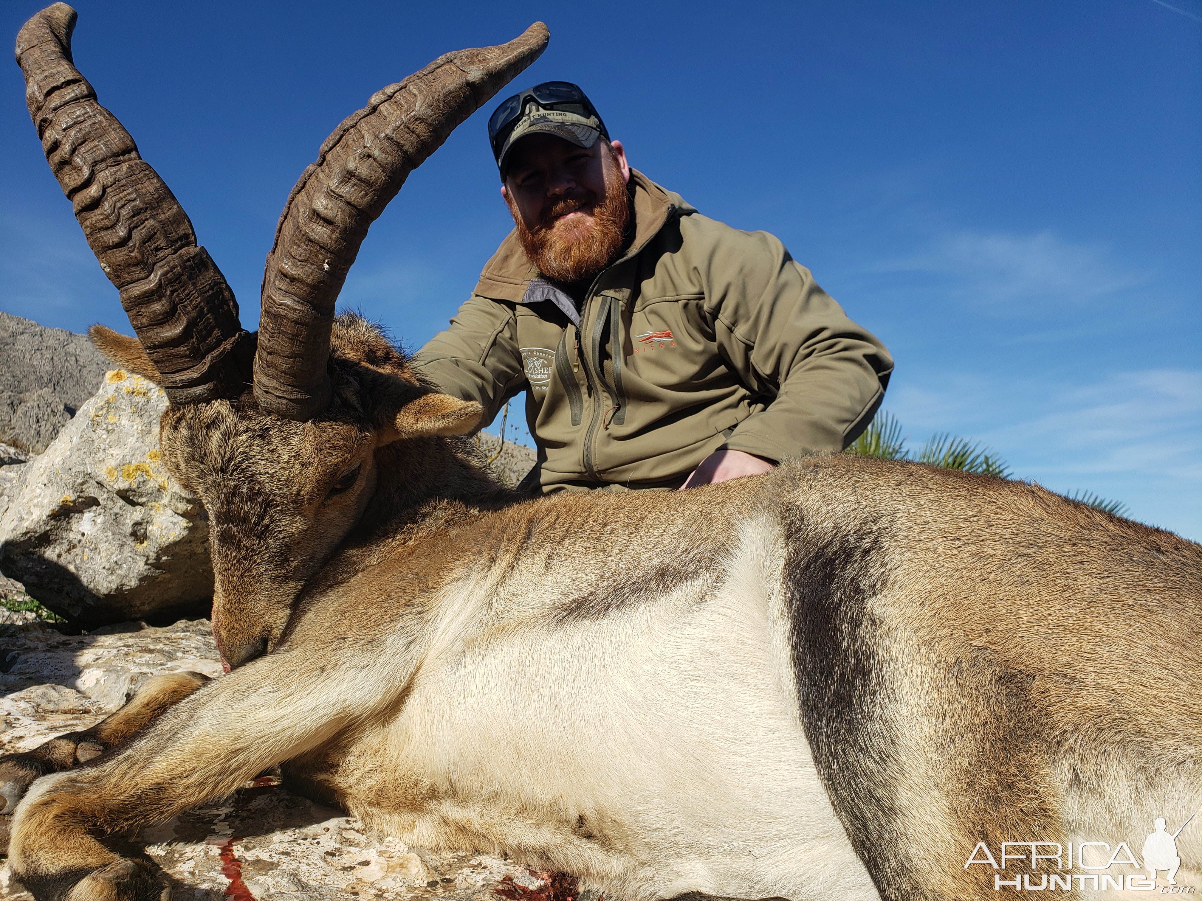Ibex Hunting Spain