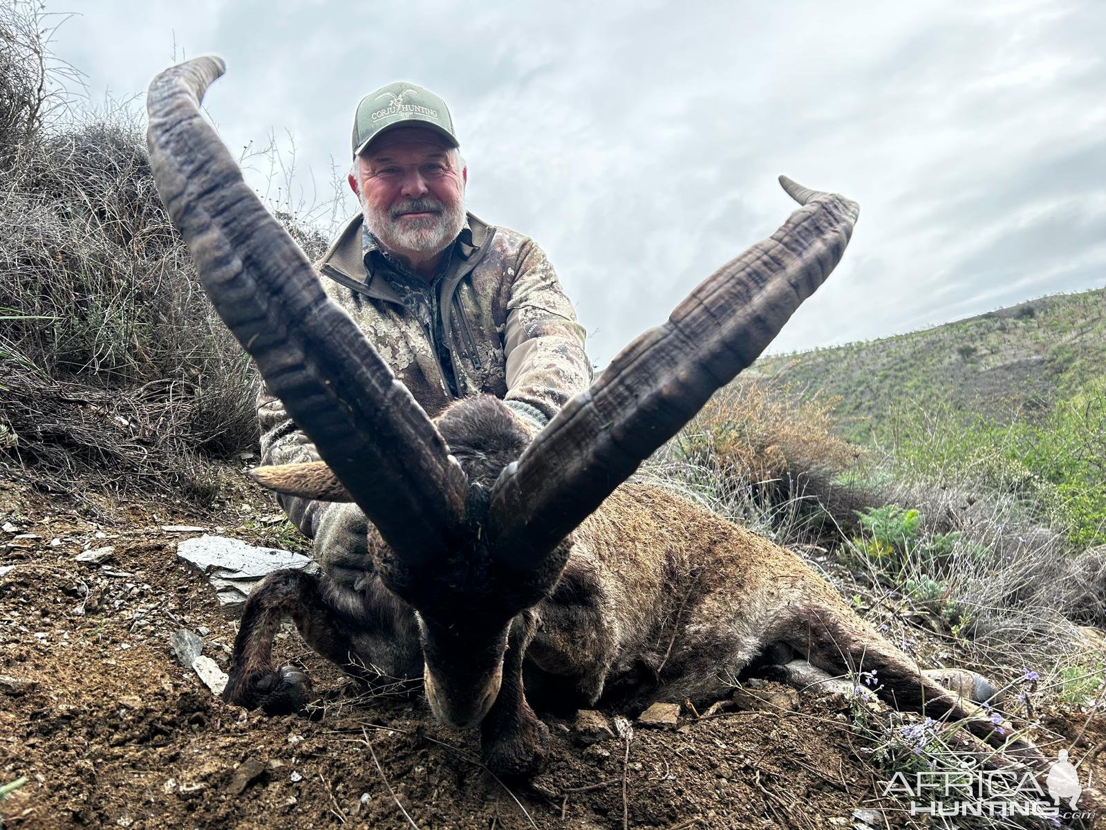 Ibex Hunting Spain