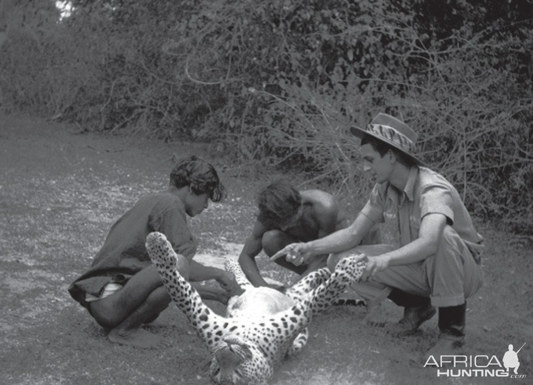 India Hunt Leopard