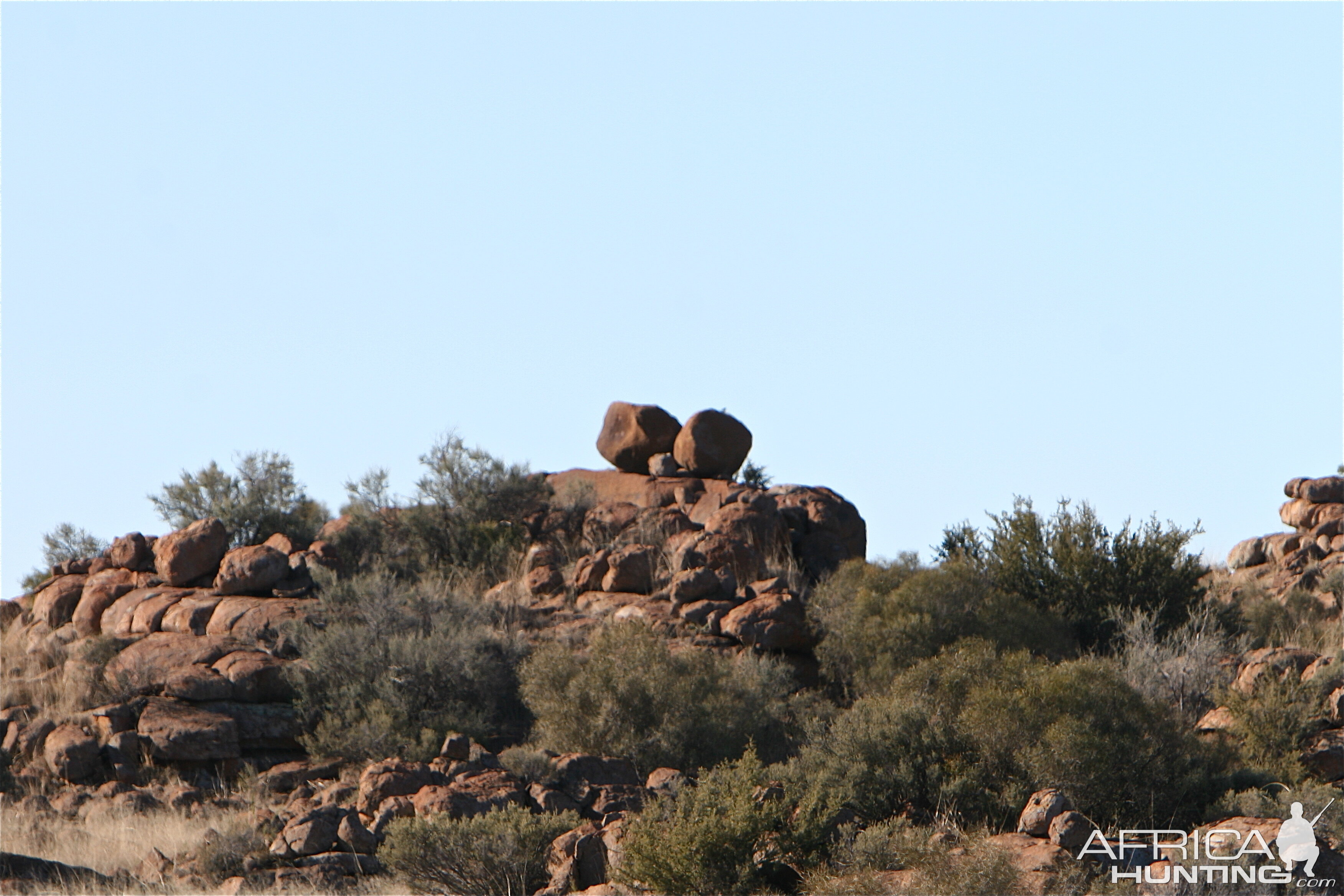 Karoo