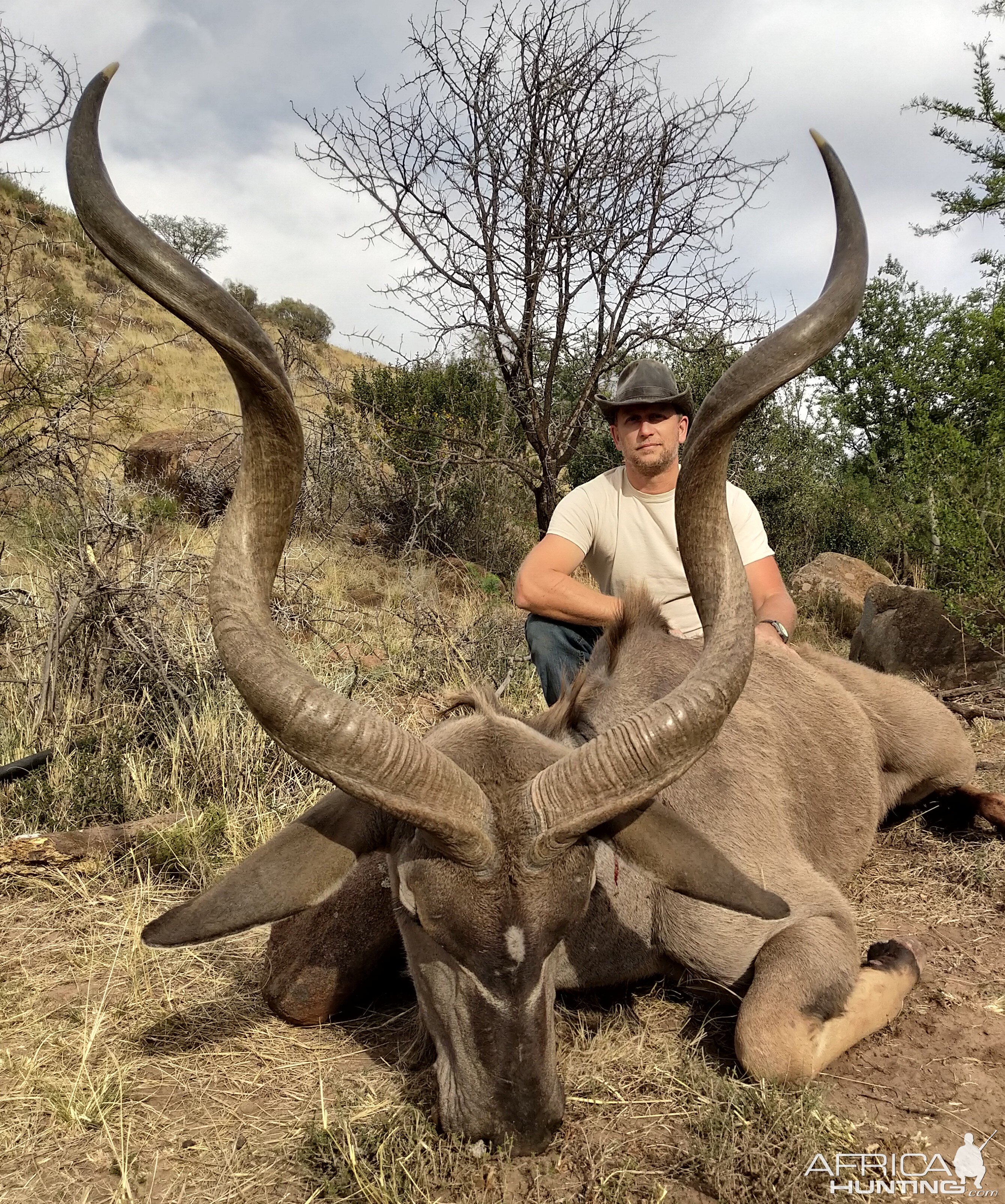 Kudu Hunt Eastern Cape South Africa