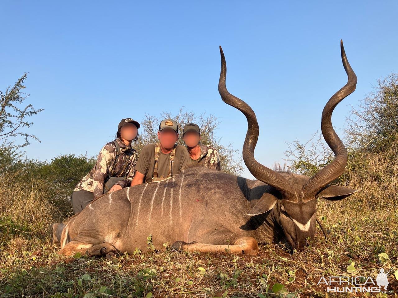 Kudu Hunting KwaZulu-Natal South Africa