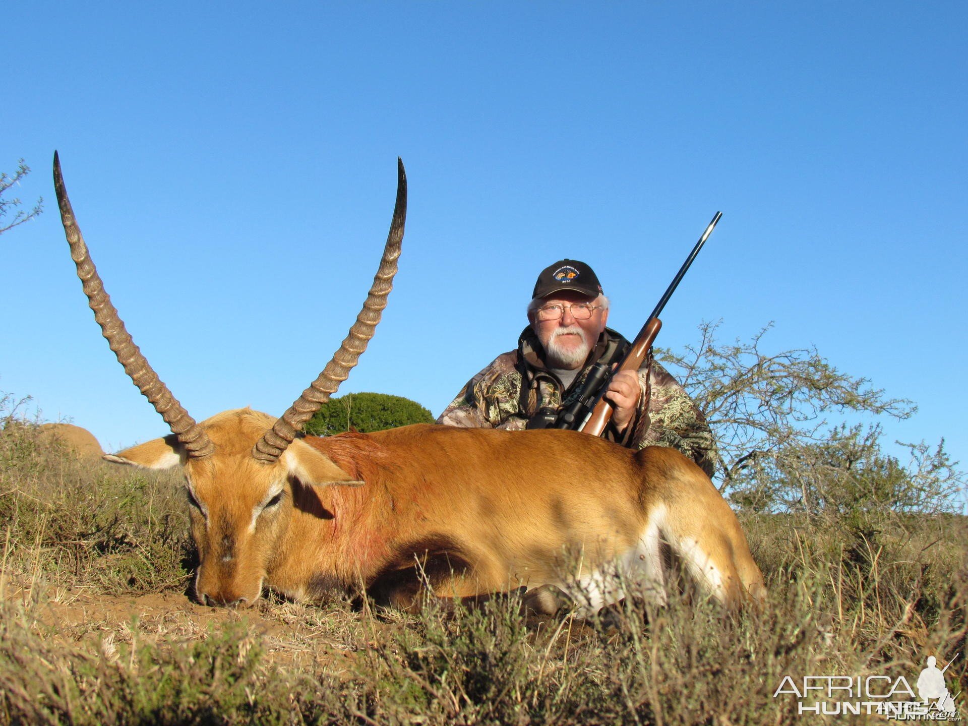 Lechwe