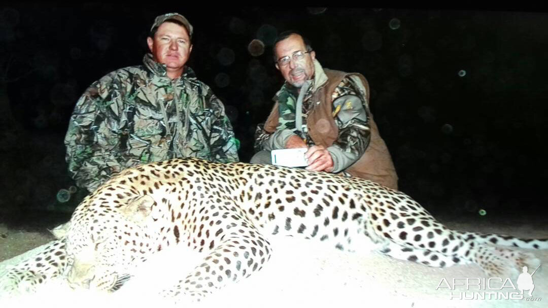 Monster Leopard hunted in Namibia at Westfalen