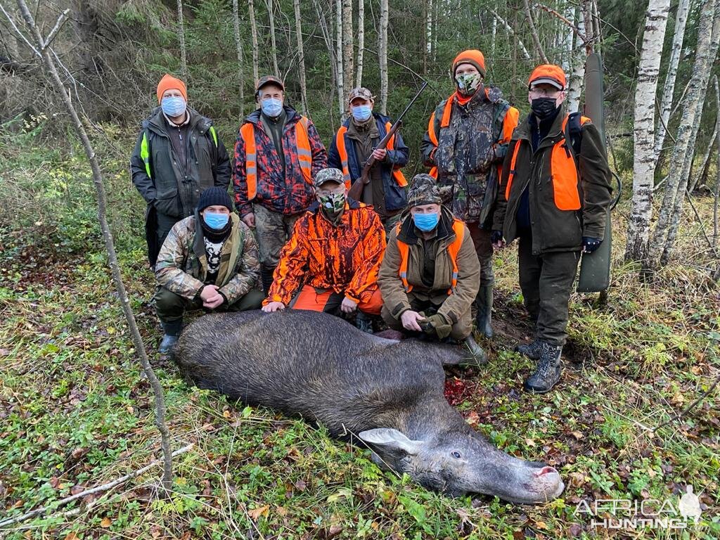 Moose Hunting