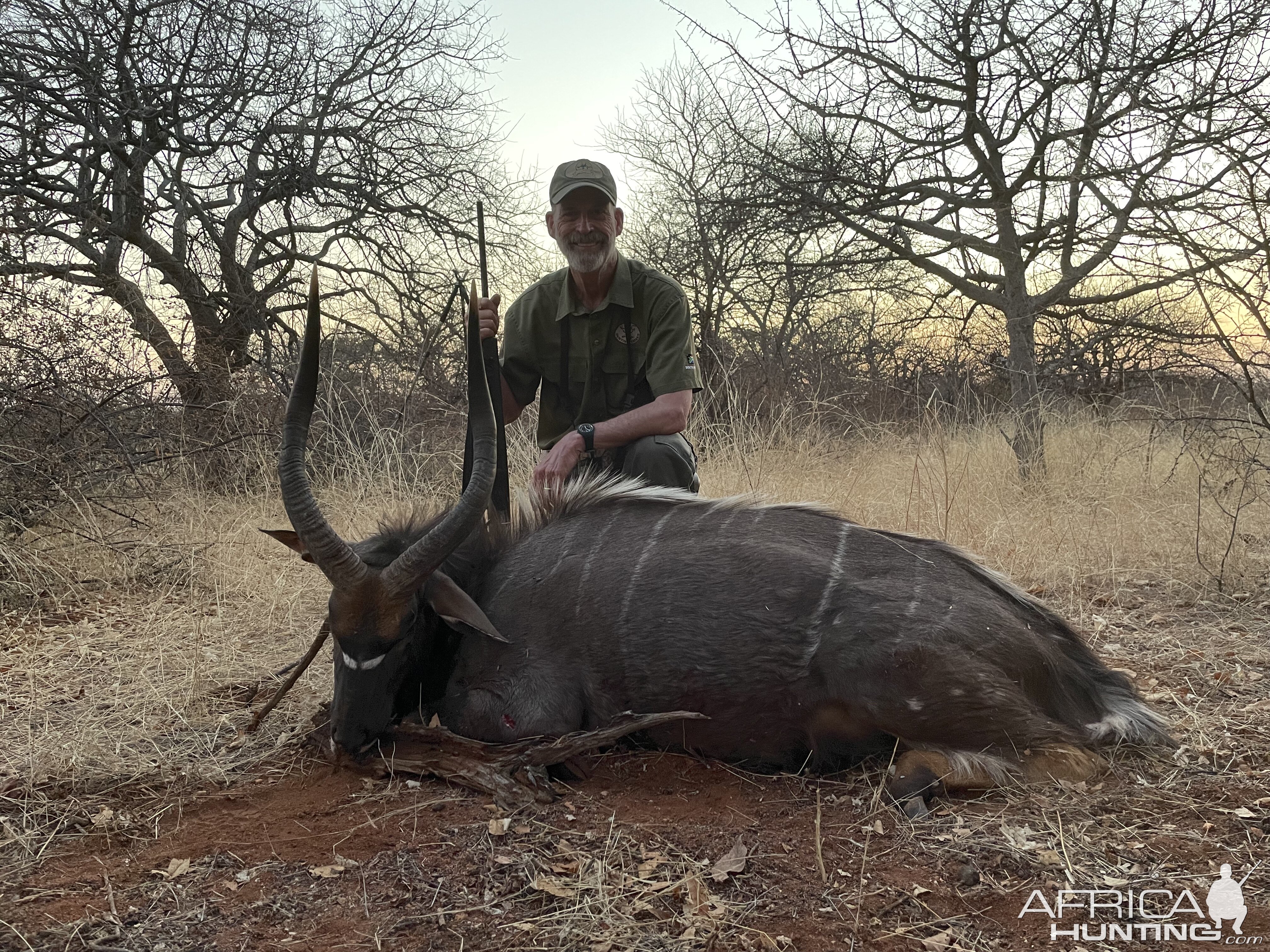 Nyala