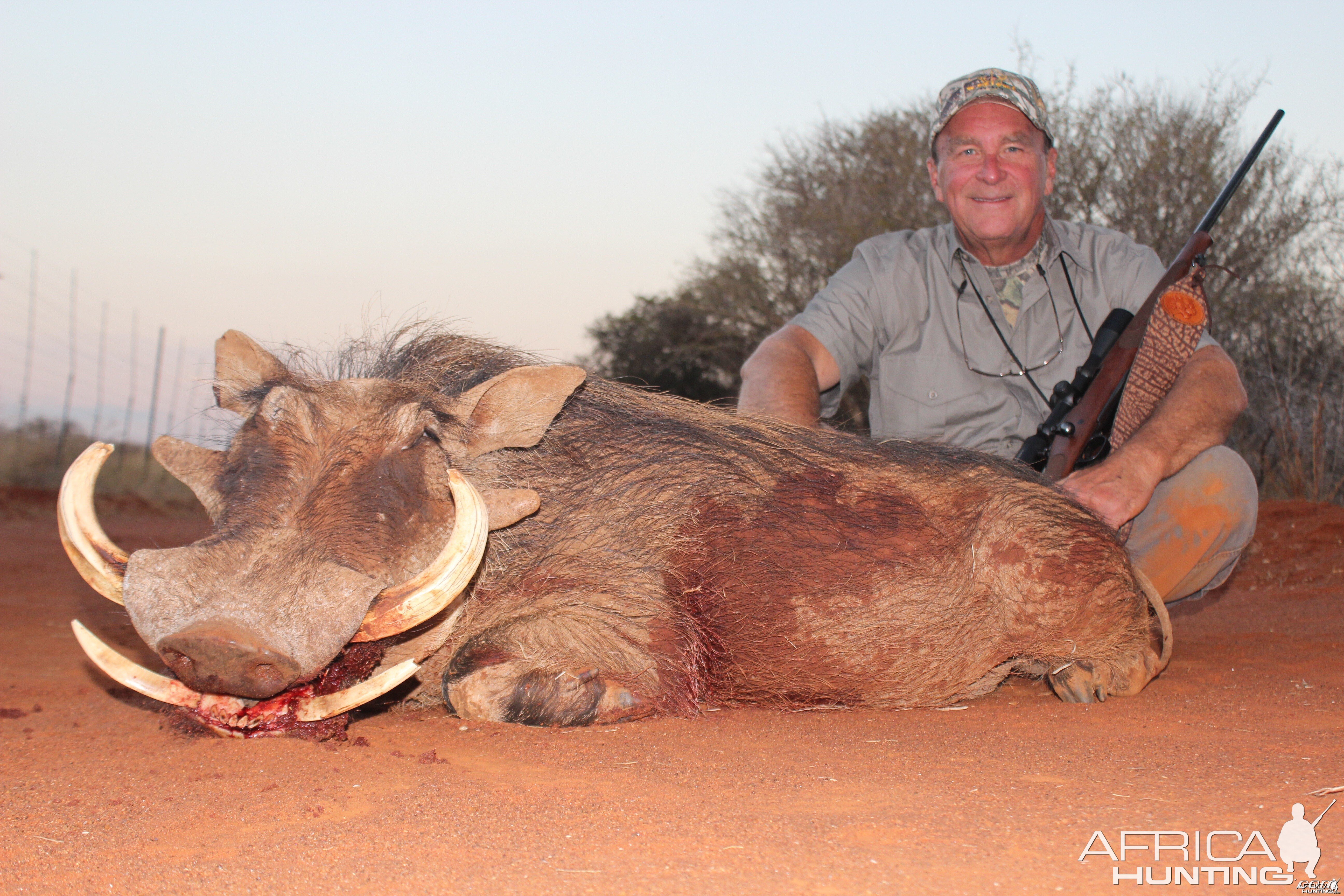 Piggy, Motsomi Safaris, 7/13