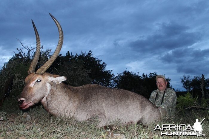 Rocky Jackson's magnificent Waterbuck, shot at Induna Safaris