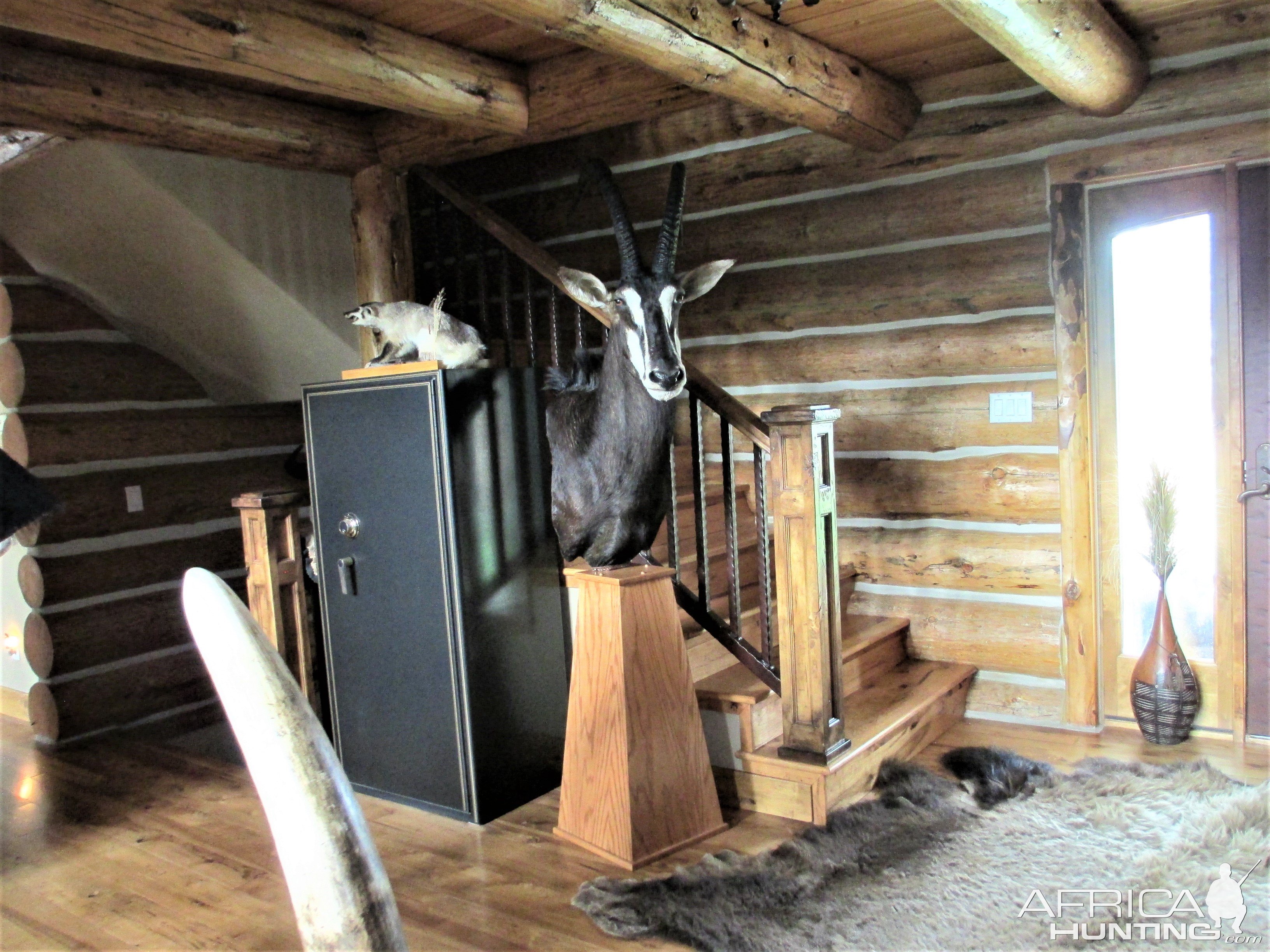 Sable Pedestal Mount Taxidermy